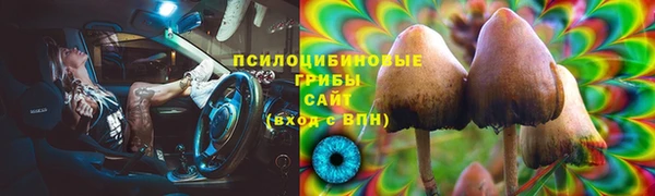 гидропоника Ельня