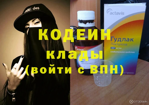 индика Горняк